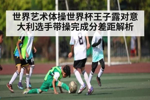 世界艺术体操世界杯王子露对意大利选手带操完成分差距解析