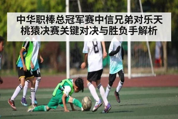 中华职棒总冠军赛中信兄弟对乐天桃猿决赛关键对决与胜负手解析